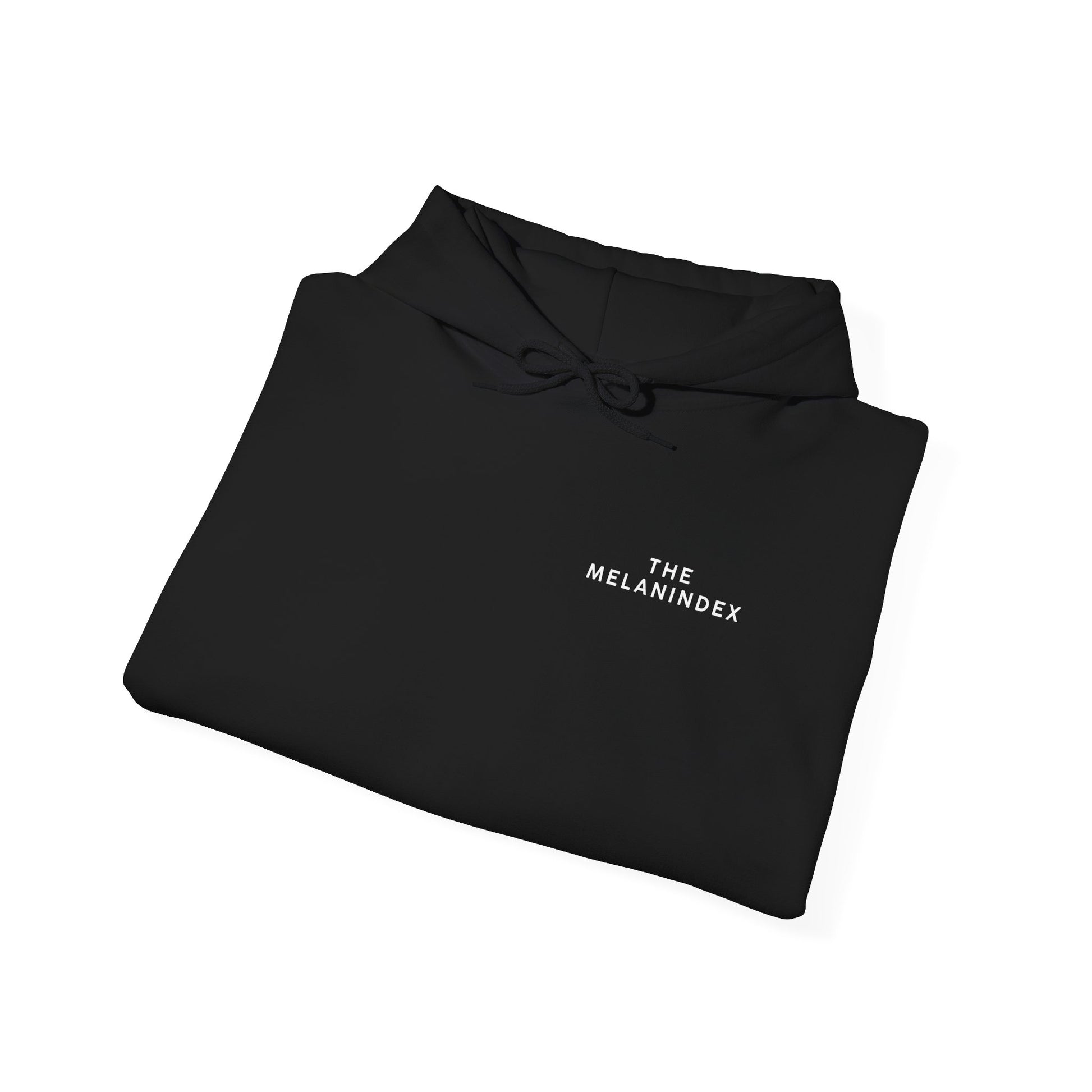 The Melanindex Hoodie - The Melanindex 